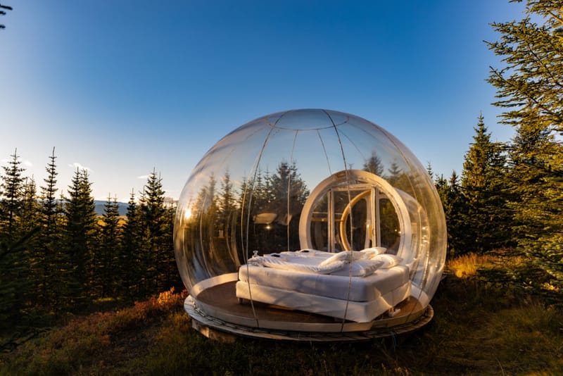 A transparent bubble room with a bed, out among the trees at golden hour