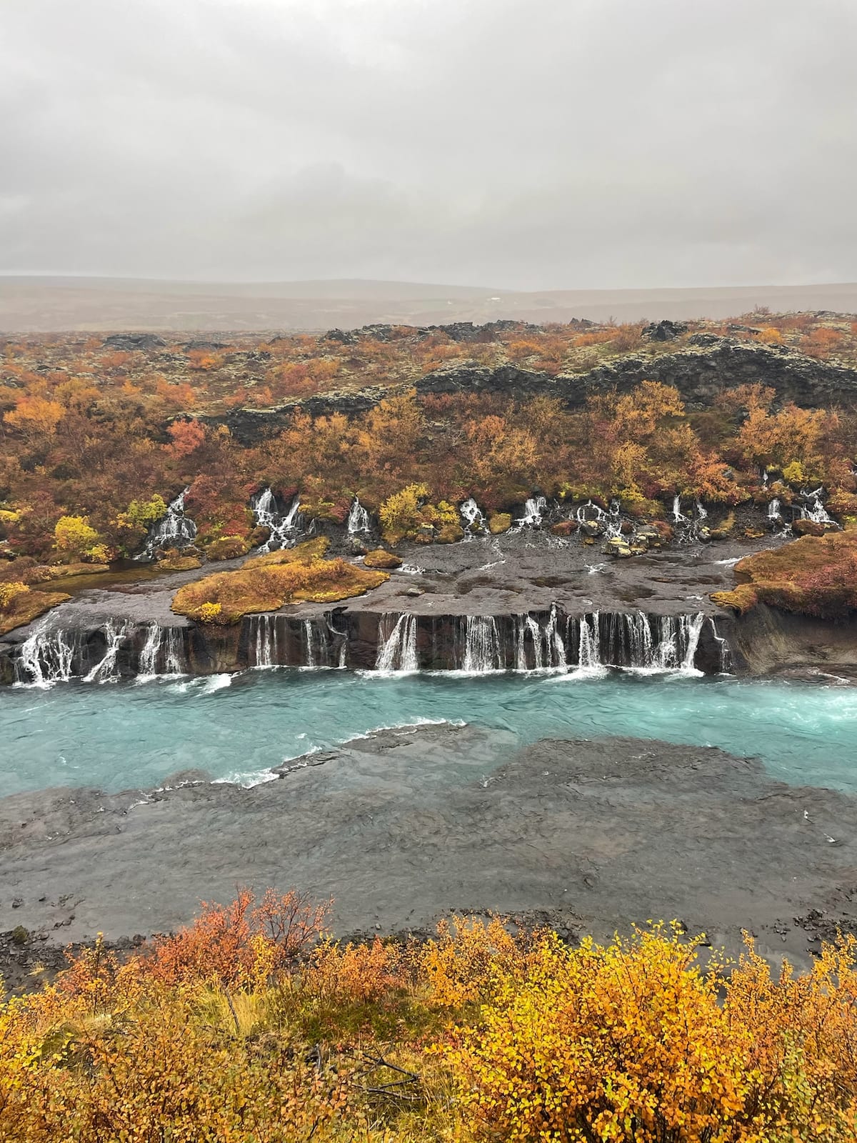 Clear blue water fanning out of a lava field into the river at Hraunfossar
