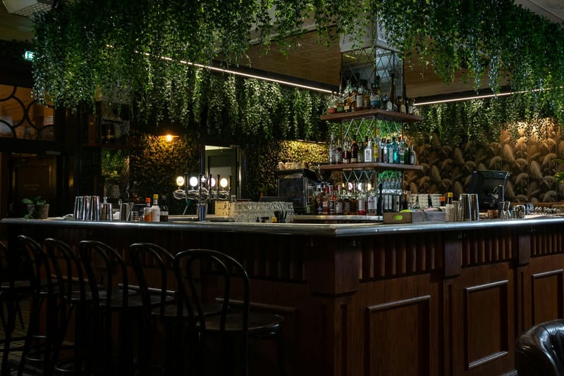 The dim, plant-draped bar at Jungle Cocktail Bar