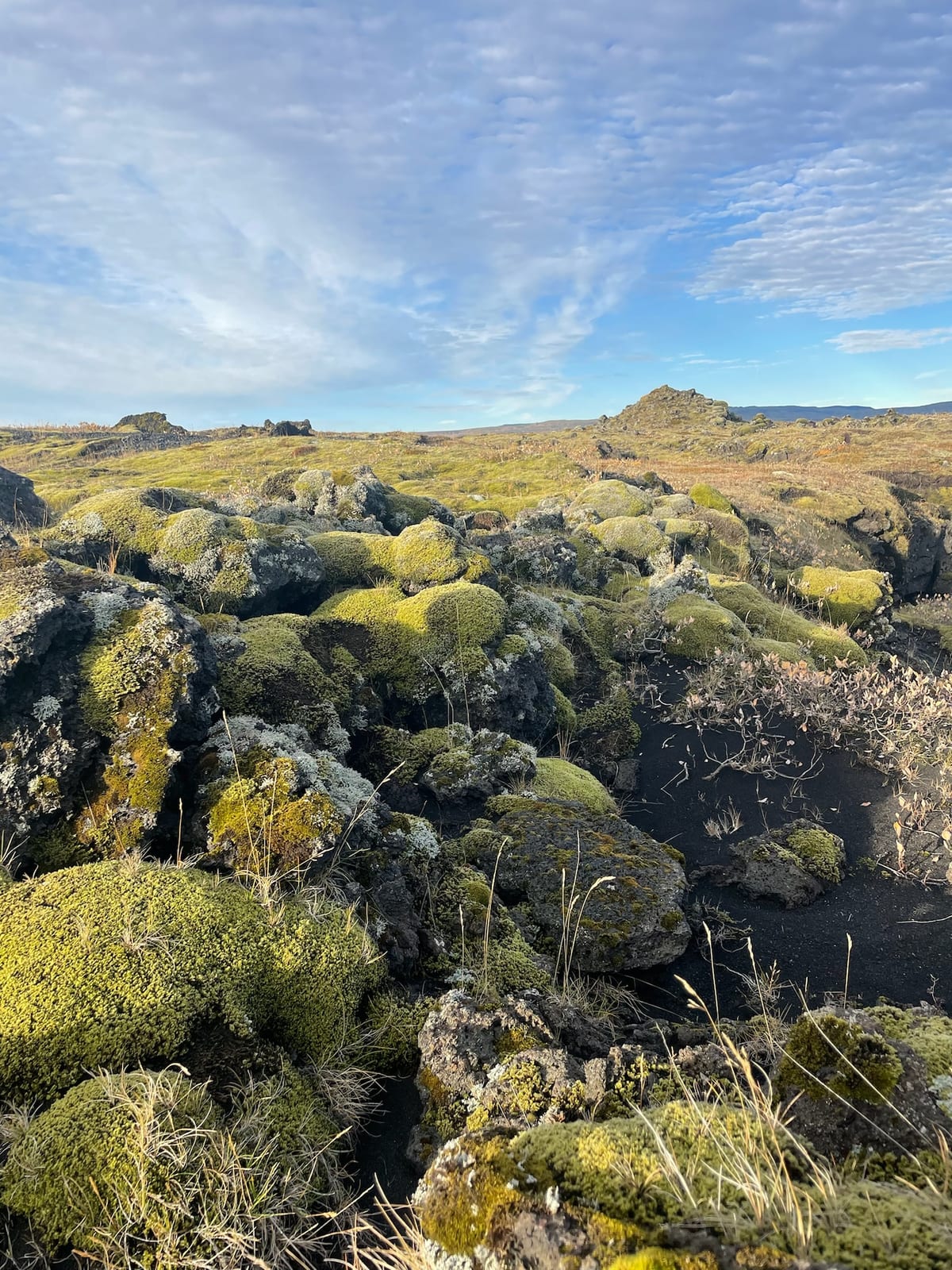 The broad volcanic landscape of Katla Geopark