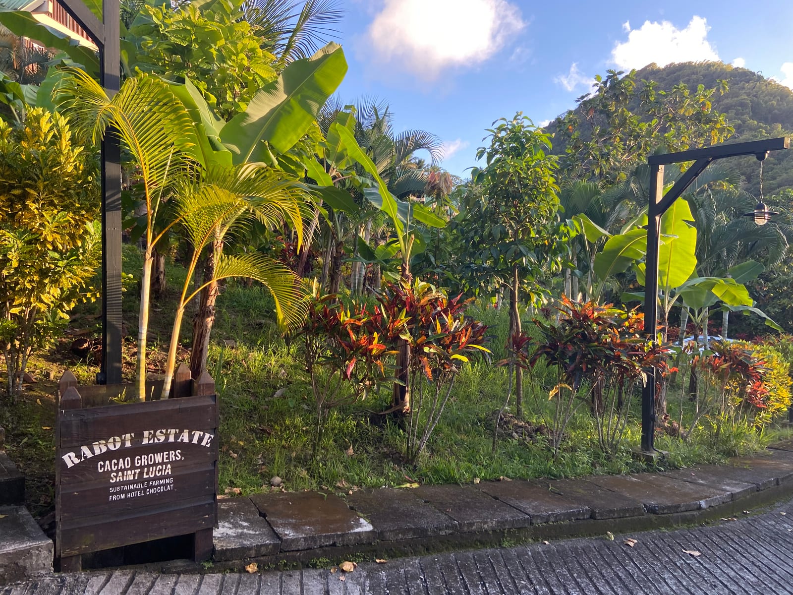 The Rabot Estate cacao growers gate