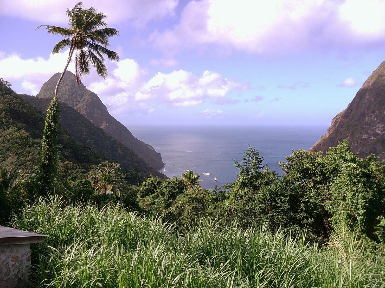 A palm and both Pitons over the sea from the estate trail