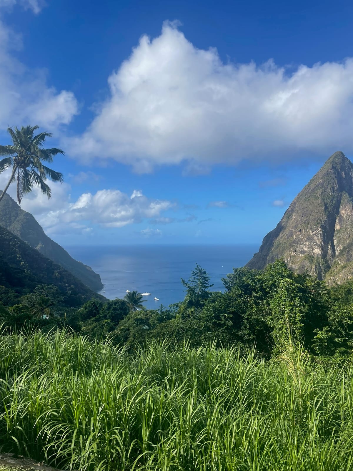 The view from the top of the Rabot estate — a Piton, the sea, and cane grass